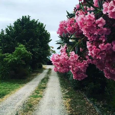 Toscana Il Pino